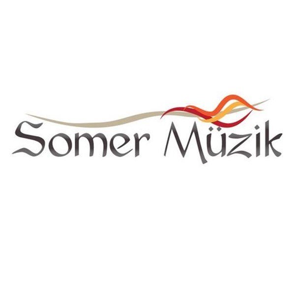 West Sound TM 302 2-li Telsiz Mikrofon Alıcısı