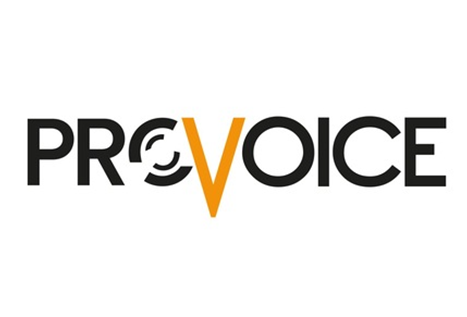 Provoice 12V 40 Watt Pazarcı Anfisi